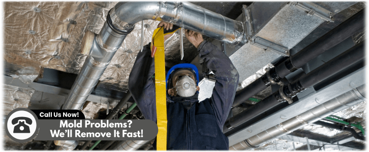 Air Duct Mold Removal in Sugar Land TX