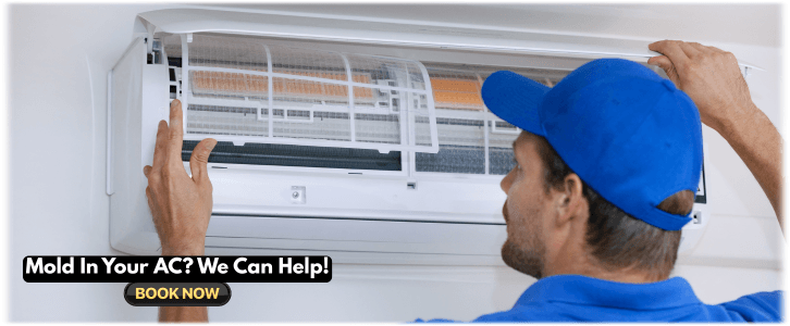 HVAC Mold Removal Sugar Land TX